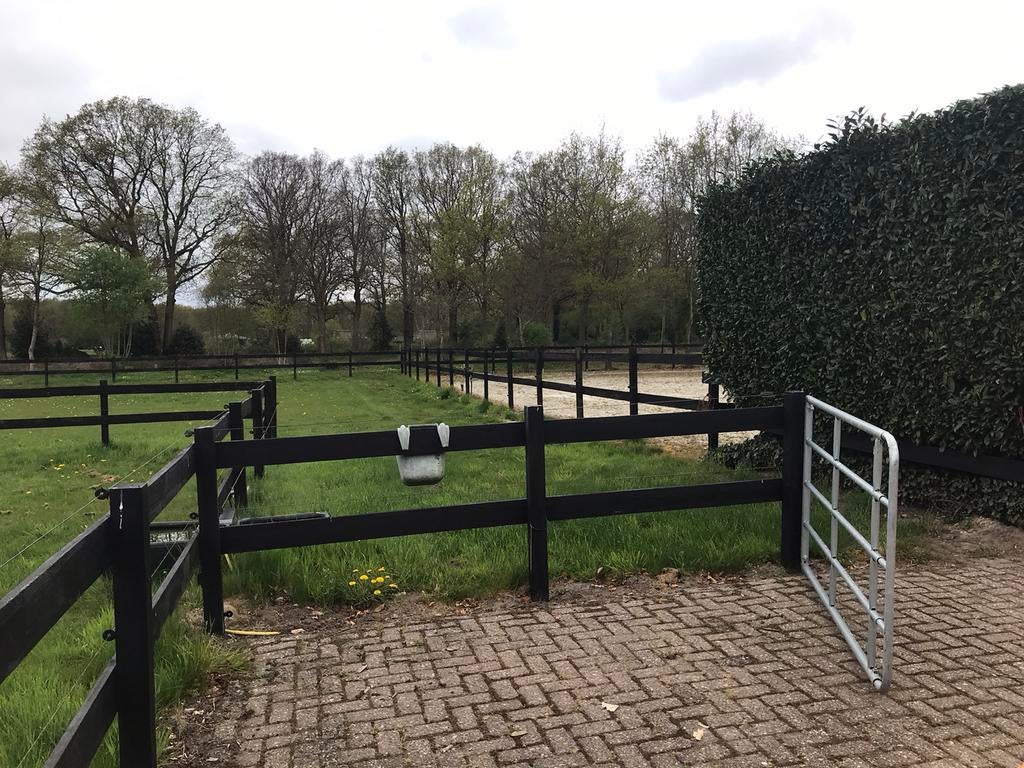 Stalling, weidegang, Weidegang