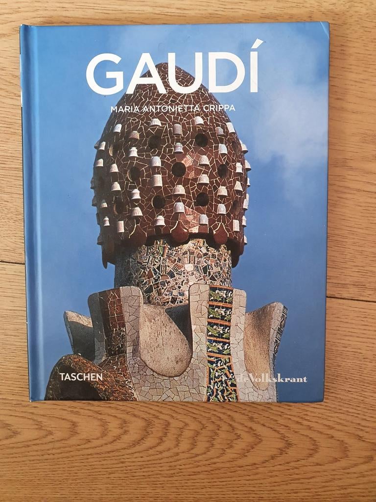 Boek over Gaudi ( hardcover), Boeken, Kunst en Cultuur | Architectuur, Ophalen of Verzenden, Gelezen, Architecten