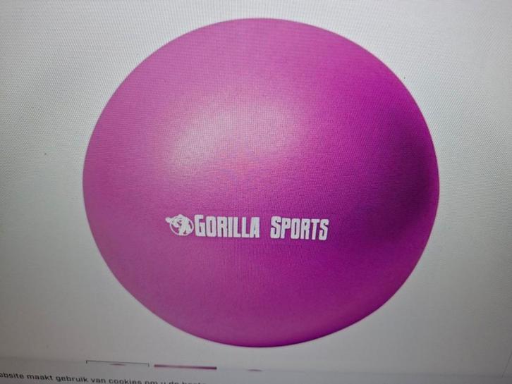 Mini Pilates Bal 28 cm Paars Gorilla Sports, Sport en Fitness, Fitnessmaterialen, Nieuw, Fitnessbal, Ophalen of Verzenden