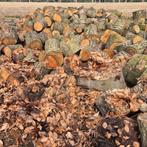Te koop haardhout, Tuin en Terras, 6 m³ of meer, Ophalen, Overige houtsoorten, Blokken