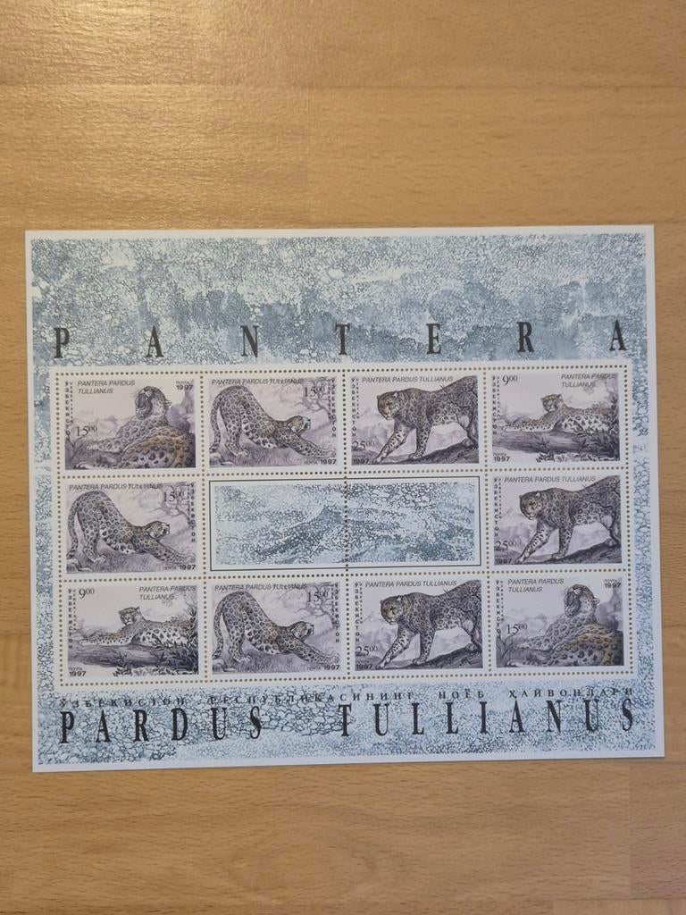 Oezbekistan 1997 luipaard, Postzegels en Munten, Postzegels | Thematische zegels, Ophalen of Verzenden, Postfris, Dier of Natuur