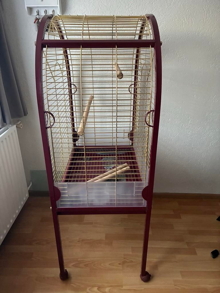 Papegaaienkooi, Dieren en Toebehoren, Ophalen, Gebruikt, Metaal, Vogelkooi