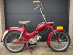 Puch MS50L bordeaux rood - 1956, Ophalen, Puch, Maximaal 45 km/u, 2 versnellingen