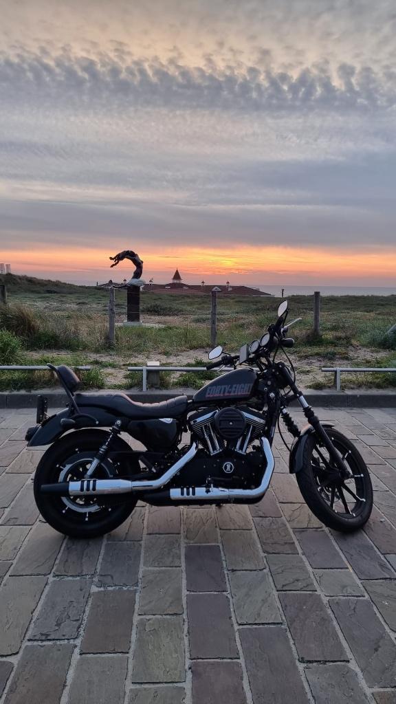 Harley-Davidson Sportster XL1200L 2007 38.795km, Motoren, Motoren | Harley-Davidson, Particulier, Chopper, meer dan 35 kW, 2 cilinders