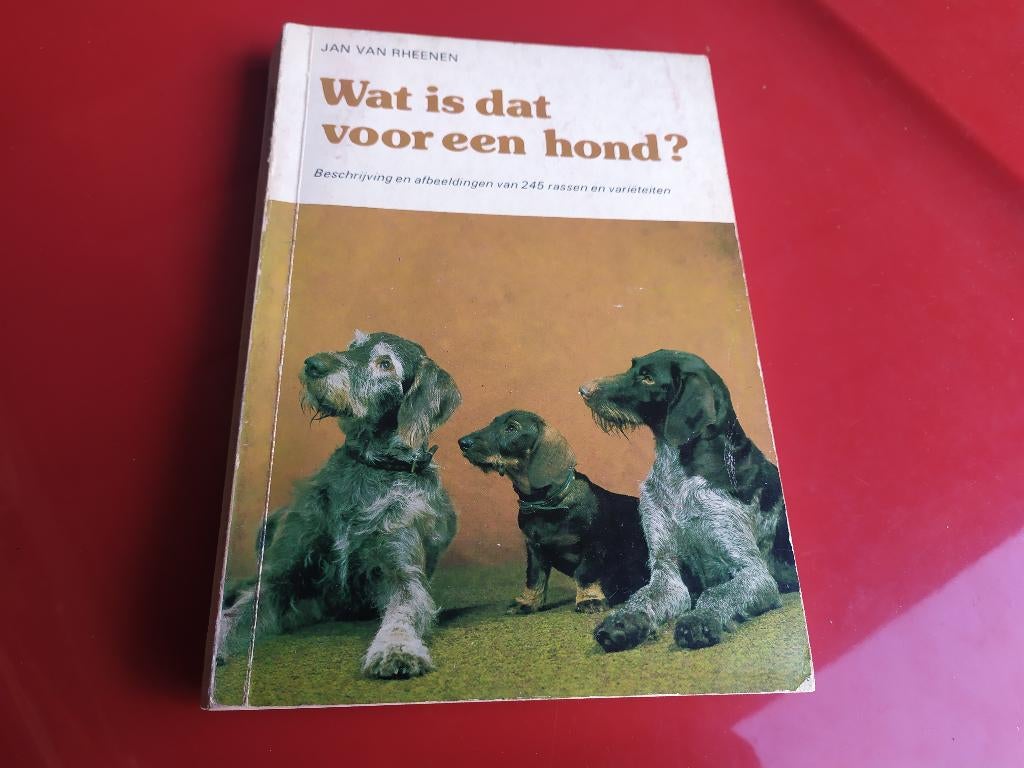 Wat is dat voor een hond? - Jan van Rheenen, Ophalen of Verzenden, Gelezen, Honden
