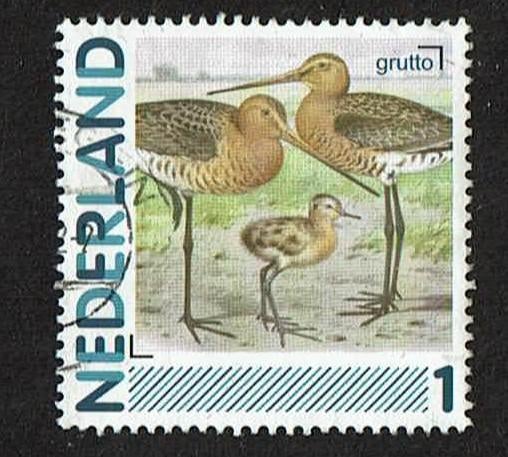 Nederland NVPH 2791 Grutto gestempeld, Verzenden, Na 1940, Gestempeld