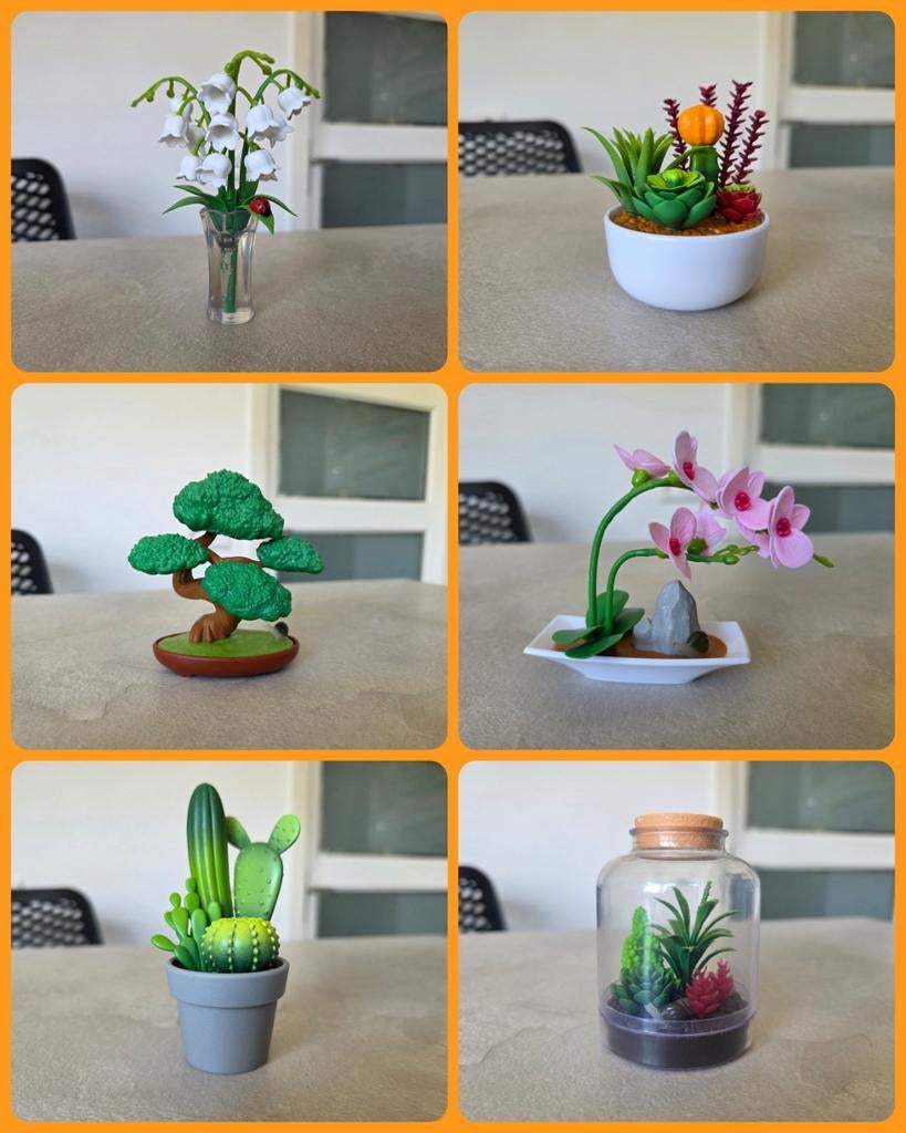 Zuri Mini Brands Create Garden, Ophalen of Verzenden, Overige soorten, Volle zon