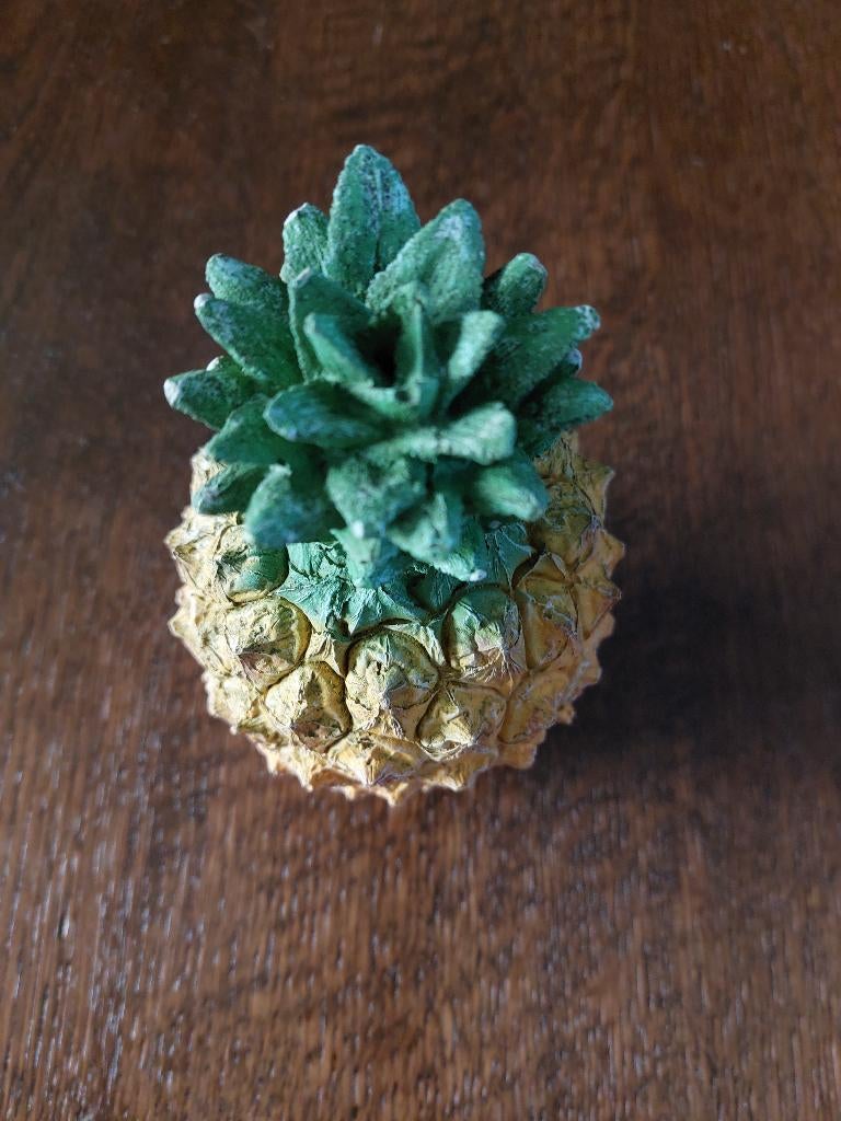 ananas huisje voor in de aquarium, Ophalen of Verzenden, Zo goed als nieuw