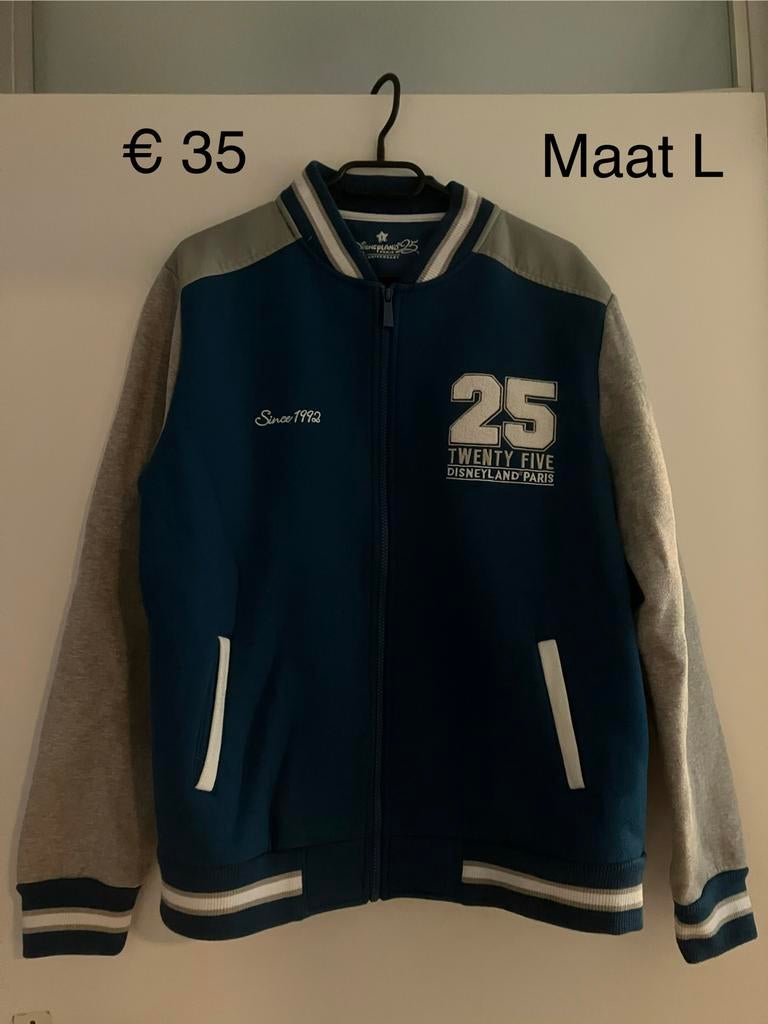 Disneyland Paris Jas - Maat: L, Ophalen, Zo goed als nieuw
