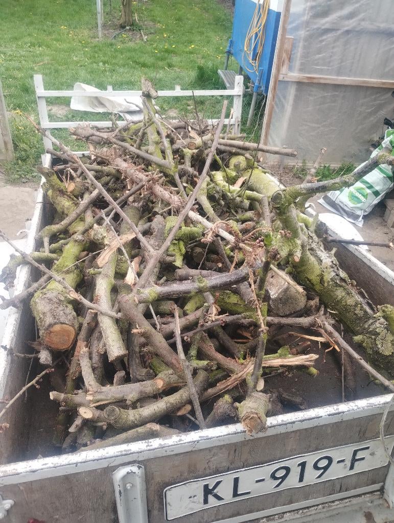 Openhaardhout, Tuin en Terras, Haardhout, Minder dan 3 m³, Ophalen, Overige houtsoorten, Stammen