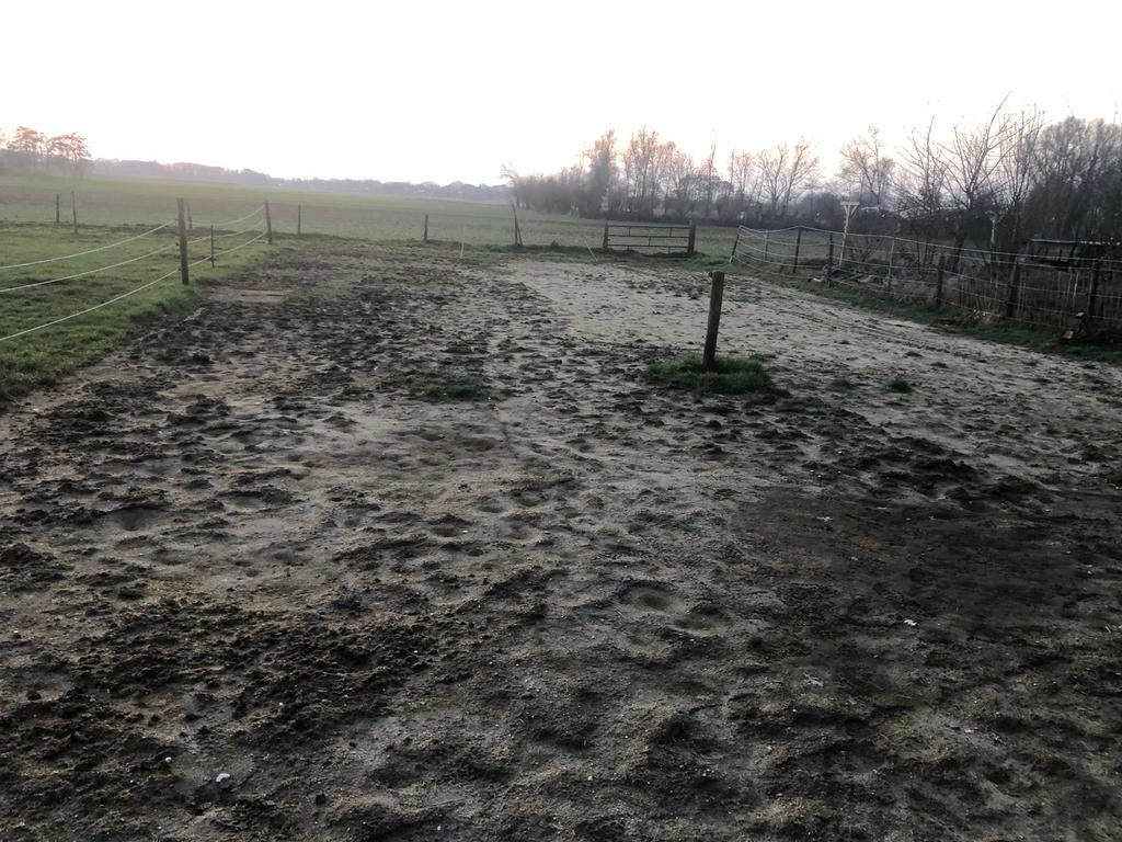 Gevraagd:zand voor in deze paddock