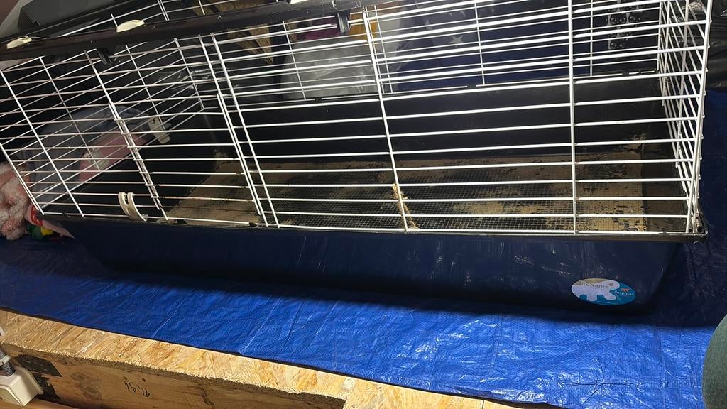Kooi cavia, Ophalen of Verzenden, Zo goed als nieuw, Metaal, Vogelkooi