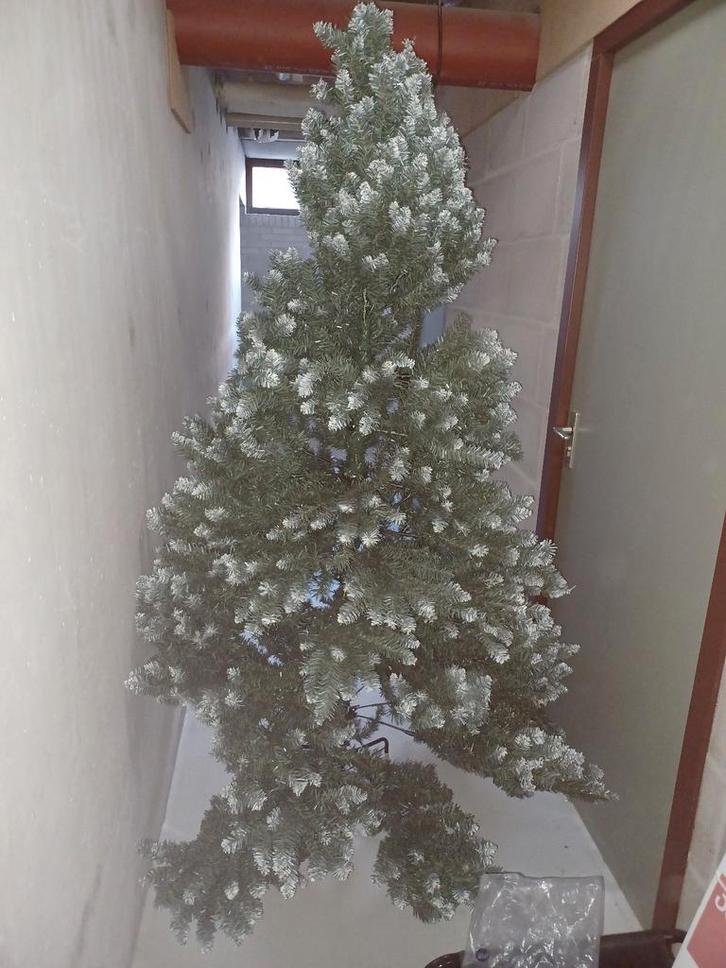 Prachtige kerstboom, Diversen, Kerst, Ophalen