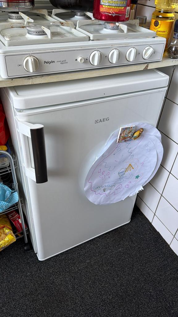 AEG kleine koelkast, Witgoed en Apparatuur, Vriezers en Diepvrieskisten, Vrieskast, Minder dan 85 cm, Minder dan 60 cm, Ophalen of Verzenden