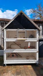 Duiventil konijnenhok caviahok, Ophalen, Hout