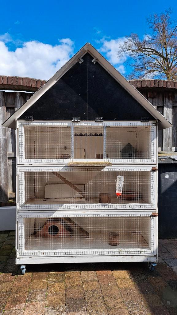 Duiventil konijnenhok caviahok, Dieren en Toebehoren, Vogels | Hokken en Kooien, Hout, Ophalen