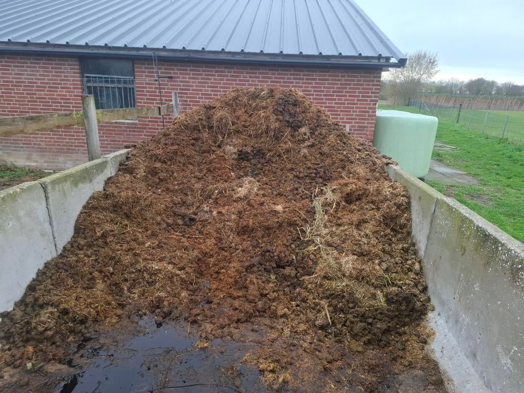 Gratis af te halen paarden mest met vlas, Ophalen of Verzenden