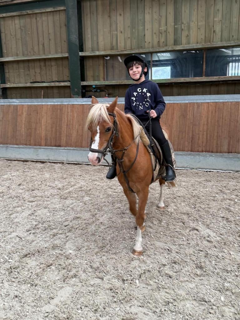 Lieve mooie kinder pony te koop, Dieren en Toebehoren, Pony's, Merrie, B, Dressuurpony, B pony (1.17m tot 1.27m)