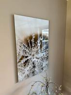 Glazen schilderij 60x90 cm - Dandelion met dauwdruppels, Ophalen, Zo goed als nieuw, Schilderij, 75 cm of meer