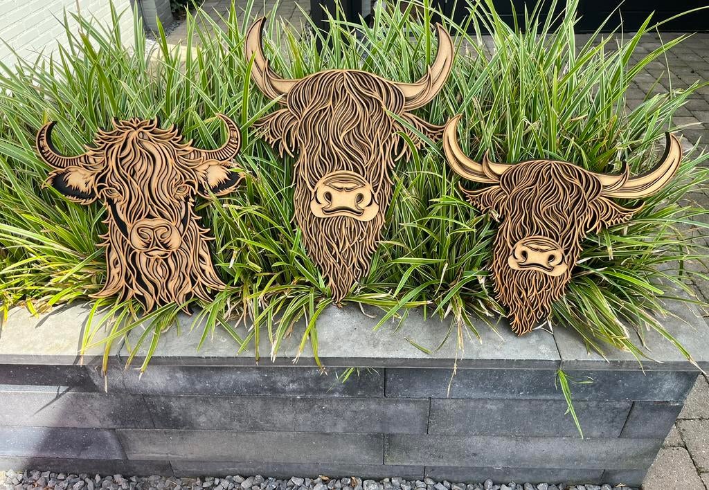 Allerlei Houten Wanddecoraties op Maat | Uniek & Persoonlijk, Ophalen of Verzenden, Nieuw