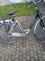 Pointer, 47 tot 51 cm, Ophalen, Gebruikt, Overige merken