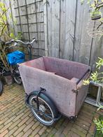 Te koop: Babboe E-big bakfiets, Fietsen en Brommers, Fietsen | Bakfietsen, Ophalen, Gebruikt, 4 kinderen of meer