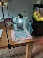 Aquarium, Dieren en Toebehoren, Ophalen, Leeg aquarium