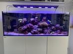 Red sea reefer 423 liter zoutwater aquarium, Ophalen, Gebruikt, Redsea, Leeg aquarium