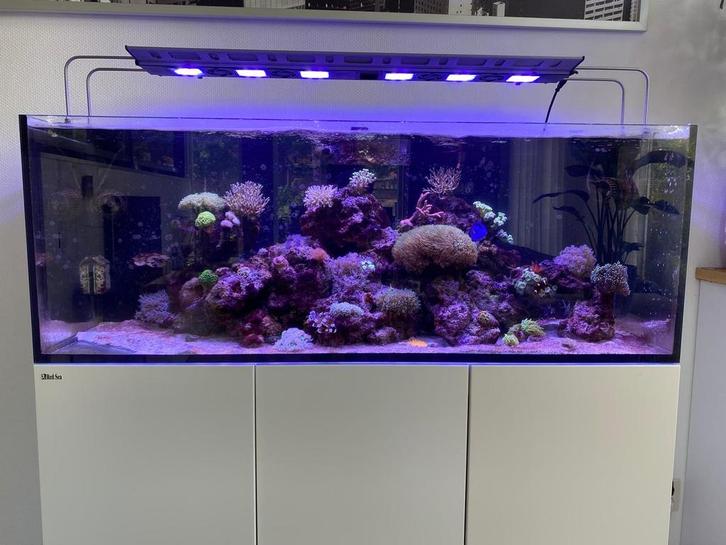 Red sea reefer 423 liter zoutwater aquarium, Dieren en Toebehoren, Vissen | Aquaria en Toebehoren, Gebruikt, Leeg aquarium, Ophalen