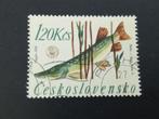 Tsjeslowakije 23 - vis, Verzenden, Dier of Natuur