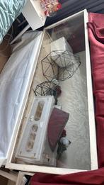 Heel groot terrarium/hamster bak, Minder dan 60 cm, Hamster, Ophalen of Verzenden, Hok