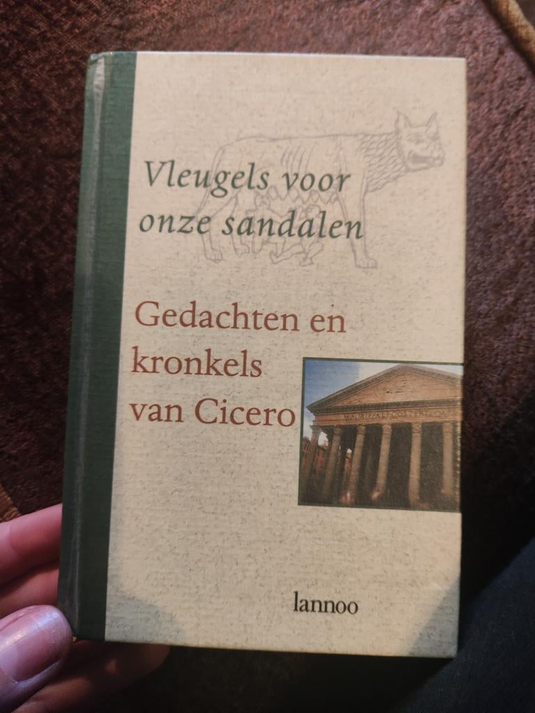 Vleugels voor onze sandalen - Gedachten en kronkels van Cice, Ophalen of Verzenden