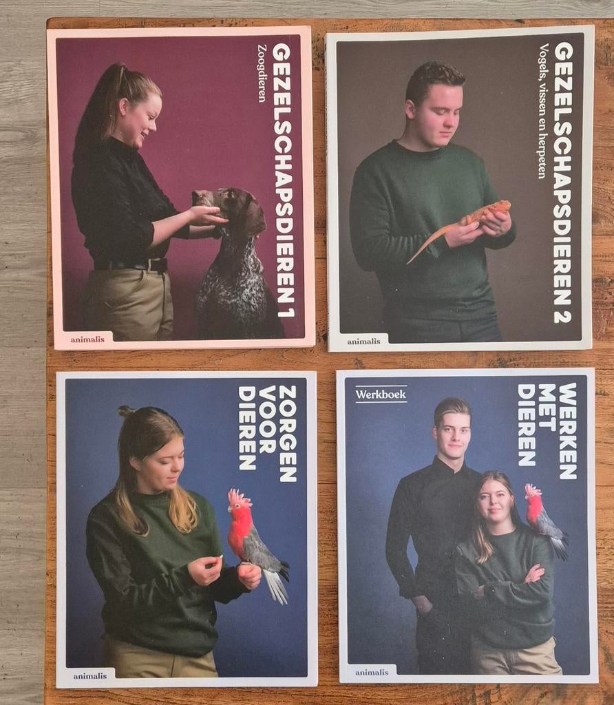 Dier en gedrag studie Boekenpakket Paraveterina MBO 3, Boeken, Studieboeken en Cursussen, Ophalen of Verzenden, Beta, Nieuw, MBO