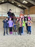 🐴 Pony King – 5 jaar – Ruin – 1m42, Dieren en Toebehoren, Pony's, Ruin, Zadelmak, 3 tot 6 jaar, Gechipt