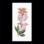 Borduurpakket Thea Gouverneur - Prunus -lelietje van dalen, Ophalen of Verzenden, Nieuw, Handborduren, Borduurpakket