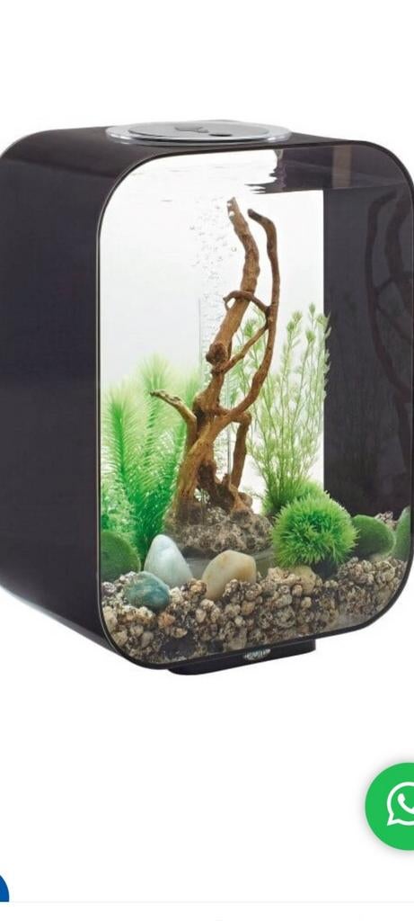 Hip design aquarium van Biorb! 15L, Ophalen, Gebruikt, Leeg aquarium