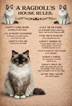 Op zoek naar ragdoll blue solid of fawn, Ophalen of Verzenden, Zo goed als nieuw