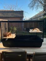 hamster/cavia kooi, Kooi, Ophalen of Verzenden, Zo goed als nieuw, 75 tot 110 cm