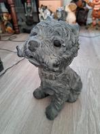 Stenen Hond met Bot - Vorstbestendig Beeld (20-25 cm), Ophalen, Nieuw, Overige materialen, Dierenbeeld