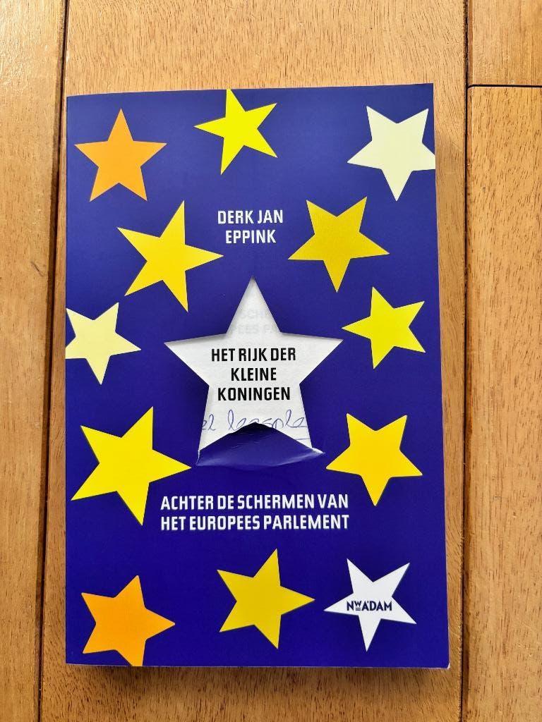 Het rijk der kleine koningen, Ophalen of Verzenden, Zo goed als nieuw, Geld en Beleggen, Derk Jan Eppink