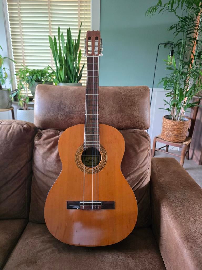 Spaanse gitaar, Ophalen, Gebruikt, Klassieke of Spaanse gitaar