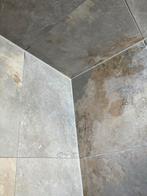 Kitter gezocht ?, Ophalen of Verzenden