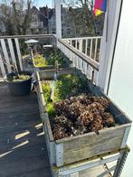 Moestuin bakken, Ophalen, Gebruikt, 100 cm of meer, Balkon