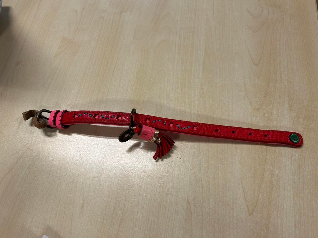 Honden halsbandje klein DWAM, Ophalen of Verzenden, Zo goed als nieuw