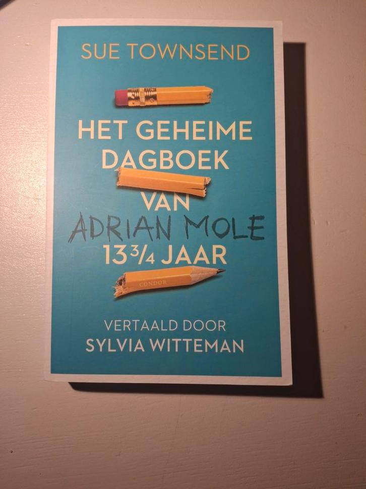 Het geheime dagboek van Adrian Mole - Sue Townsend, Boeken, Kinderboeken | Jeugd | 13 jaar en ouder, Ophalen of Verzenden
