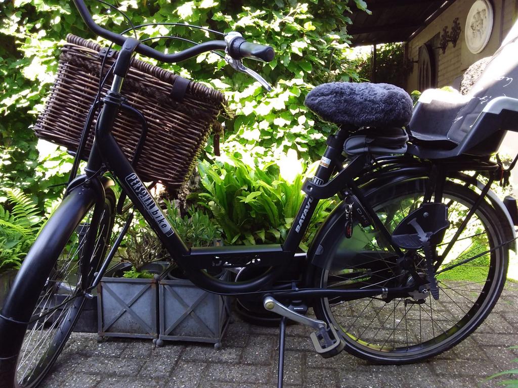 Batavus Personal Bike - Zwart, Fietsen en Brommers, Fietsen | Dames | Damesfietsen, Ophalen, Gebruikt, Versnellingen, Batavus