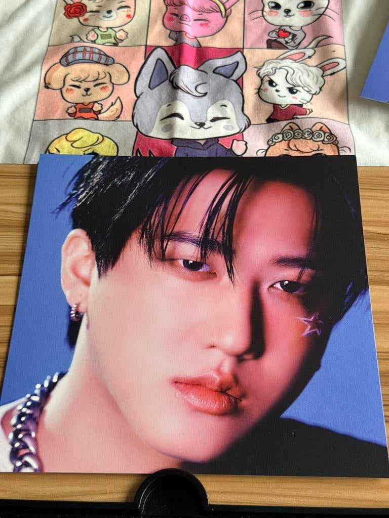 Stray Kids Changbin poster karma, Ophalen of Verzenden, Zo goed als nieuw, Foto of Kaart