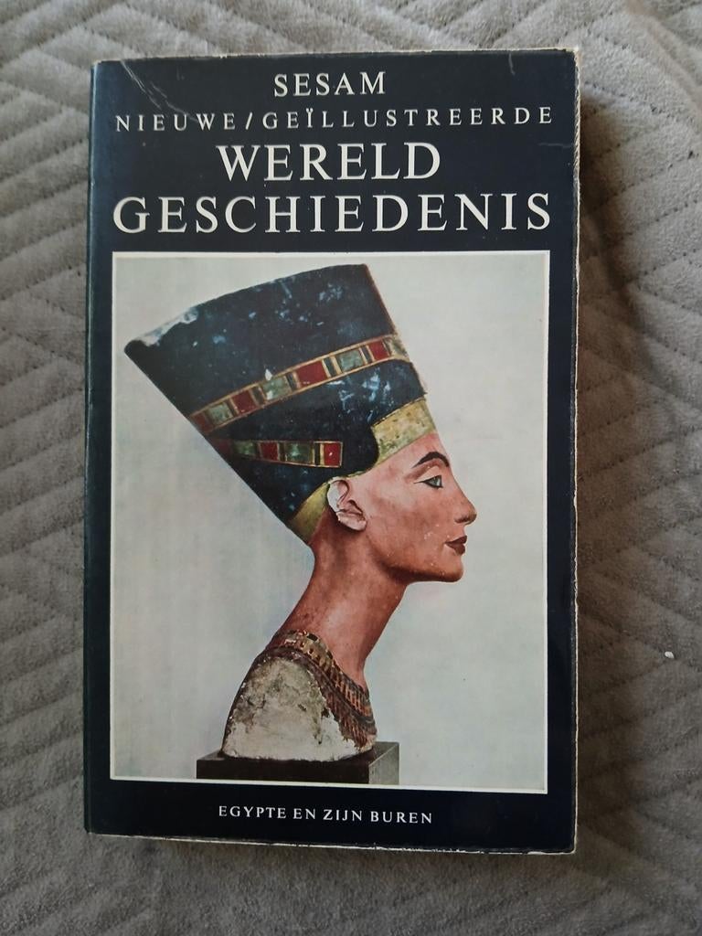 Sesam Nieuwe Geïllustreerde Wereldgeschiedenis - Compleet, Boeken, Overige gebieden, Ophalen of Verzenden, Diverse Auteurs, 20e eeuw of later