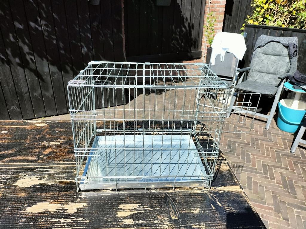 Te Koop, Dieren en Toebehoren, Ophalen of Verzenden, Minder dan 75 cm, Minder dan 65 cm