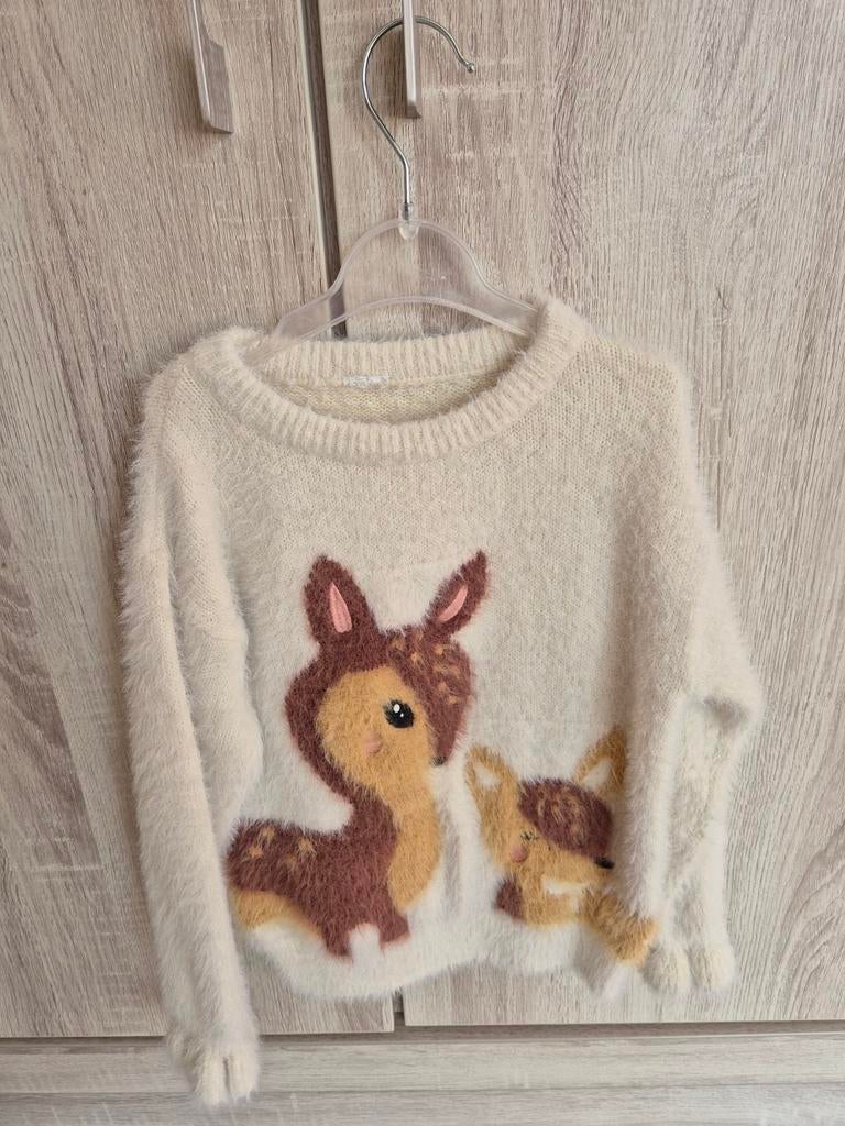 Trui 110/116, Kinderen en Baby's, Kinderkleding | Maat 110, Ophalen of Verzenden, Zo goed als nieuw, Meisje, Trui of Vest